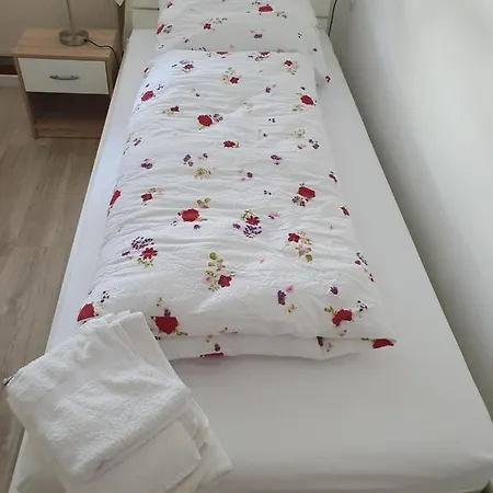 Privatzimmer An Der Universitaetsklinik Mainz. Sehr Zentral Exterior photo